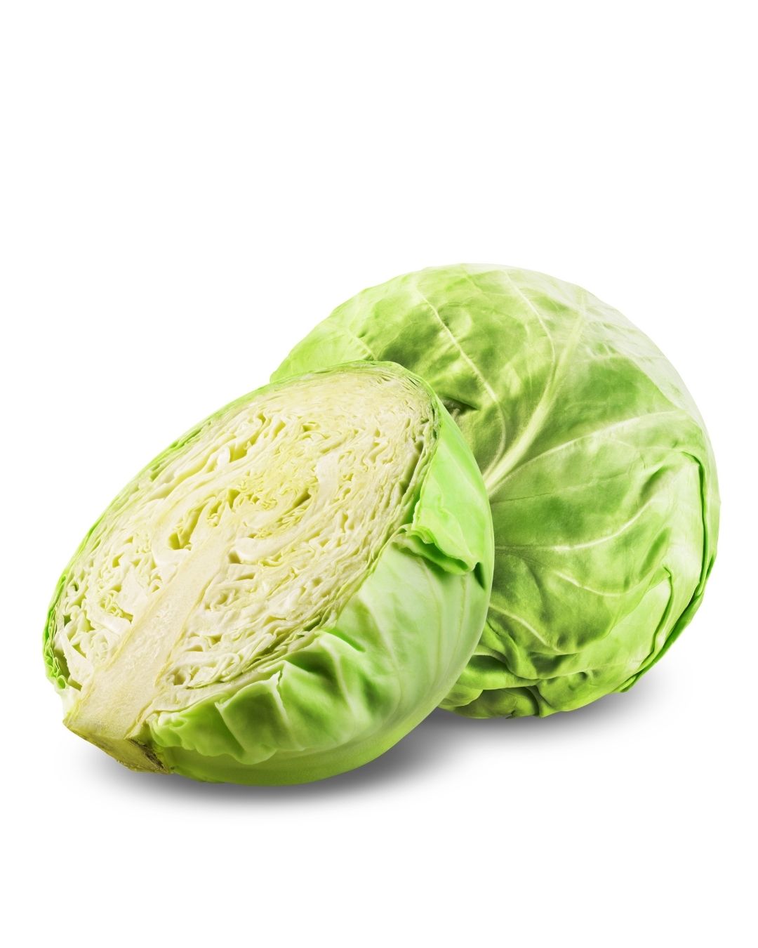 Repollo blanco